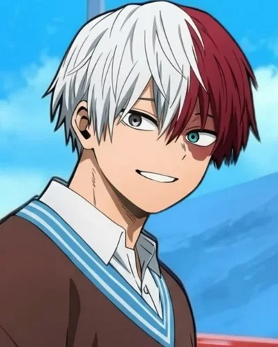 Todoroki Shoto 