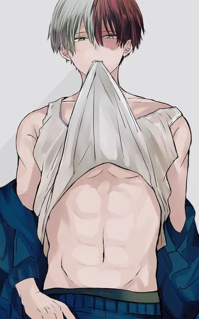 Shoto Todoroki | Husband
