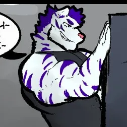 When the bully stalking for food - Caleb, a white/blue tiger