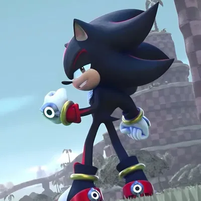 《Shadow the hedgehog》
