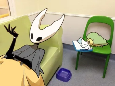Hollow Knight 