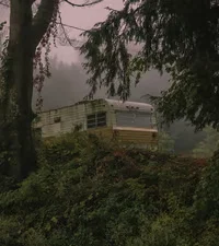 ~*Zombie Apocalypse*~