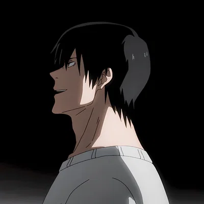 Toji Fushiguro