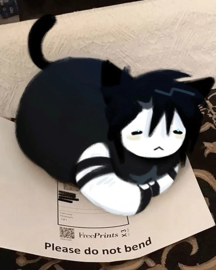 Kitty Two Time