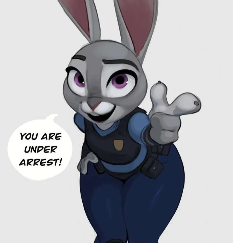 Judy Hopps | Stop and Frisk