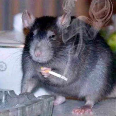 Lab rat simulator 