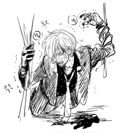 「 ✦ VINSMOKE SANJI ✦ 」