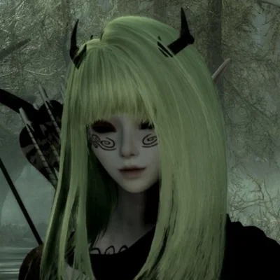 Faellin The Wood Elf