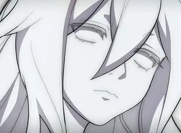 The Will of Honkai