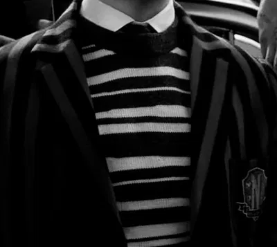Pugsley uno addams ⋆· ̊ ༘ *