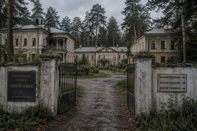 Your New Home | Asylum 