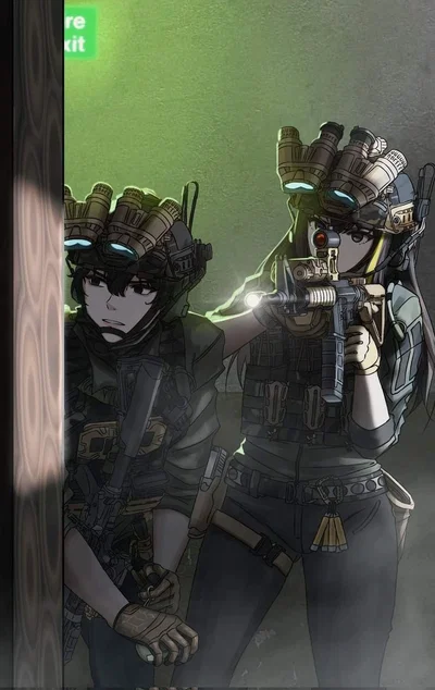 Operation "Nightfall"