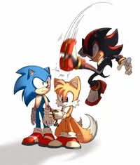 Sonic the hedgehog S.T.H