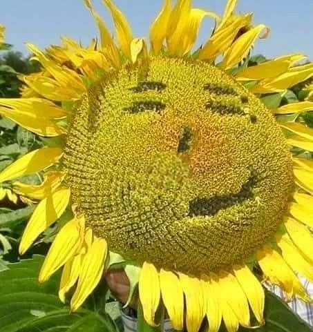 Hey! it's me!