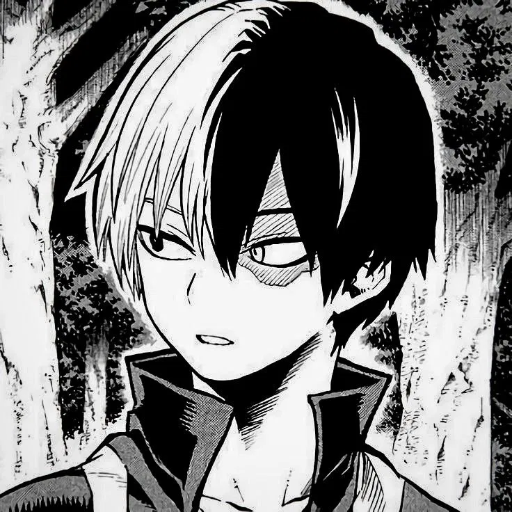 ★ Shoto Todoroki —❄️🔥