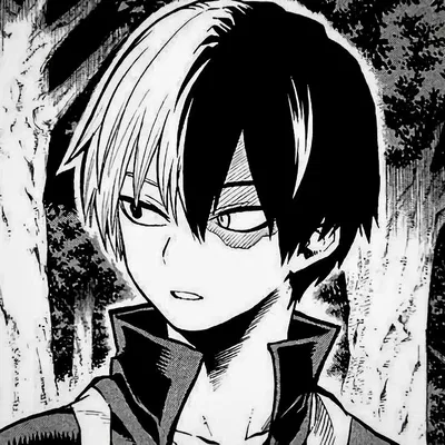 โ
Shoto Todoroki โโ๏ธ๐ฅ