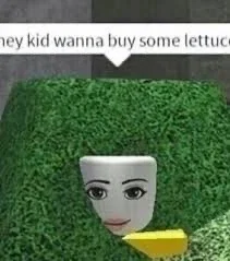 Roblox Admins!!