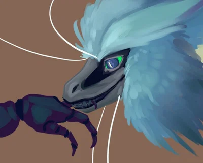 Mati the curious creature 