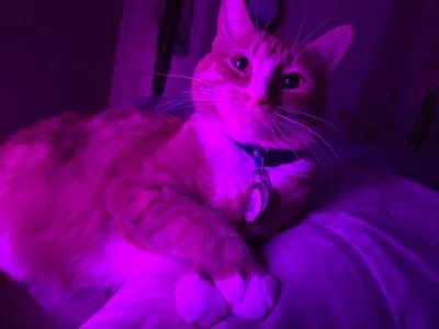 In Loving Memory + Announcement 