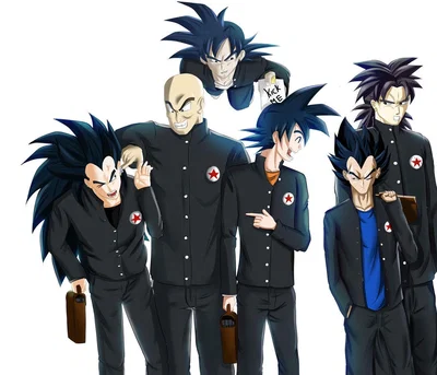 Dragon ball school 