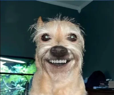 Huh.