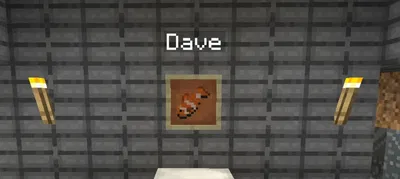 Dave, the fish on an item frame.