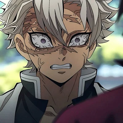 Sanemi Shinazagawa | The Wind Hashira