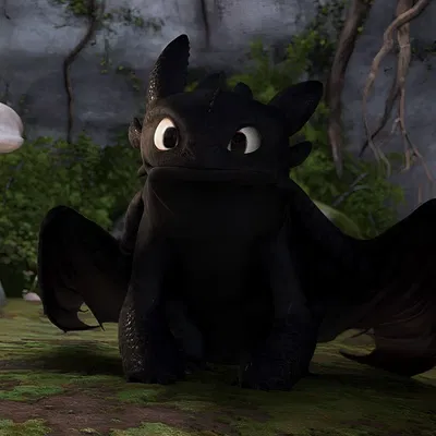 Night Fury
