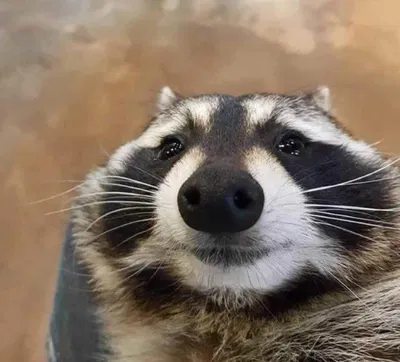 New side account!