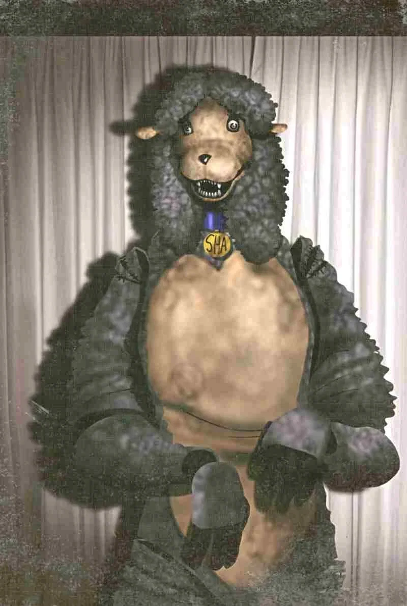 Sha the Sheep (Rosemary Walten)