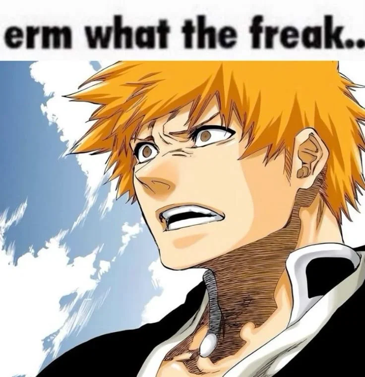 Bleach fan || (·•᷄‎ࡇ•᷅ )