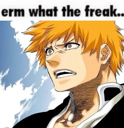 Bleach fan || (·•᷄‎ࡇ•᷅ )