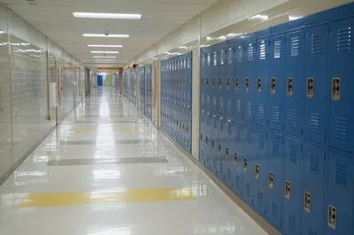 New School Adventures