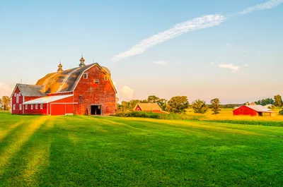 Farm Town Simulator