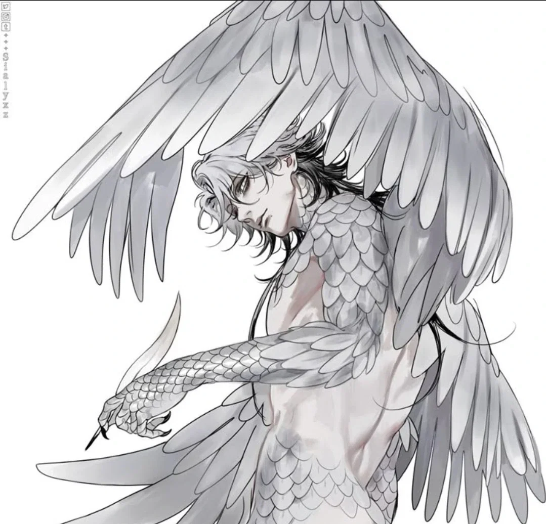 Harpy || Shiloh