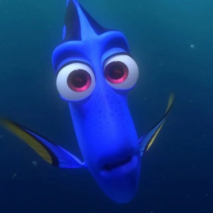 Dory || Finding Nemo