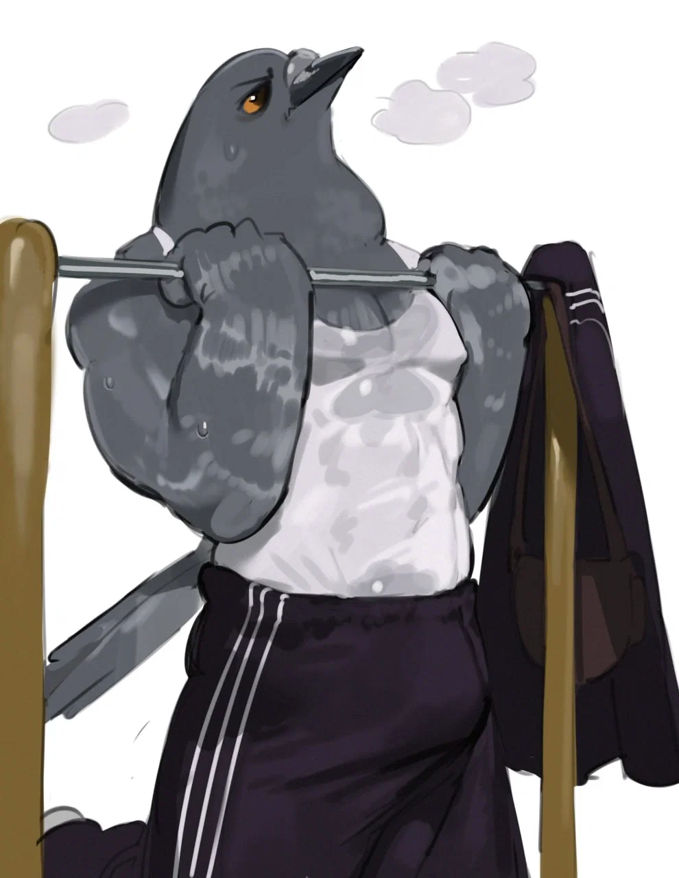 Pigeon Dude{UPDATED!}