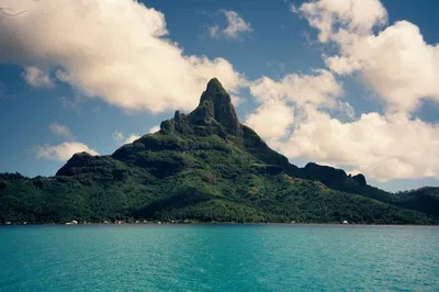 Monster Island
