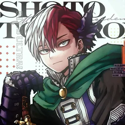 Shoto Todoroki 