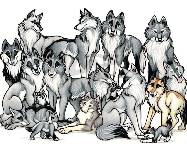 Your pack