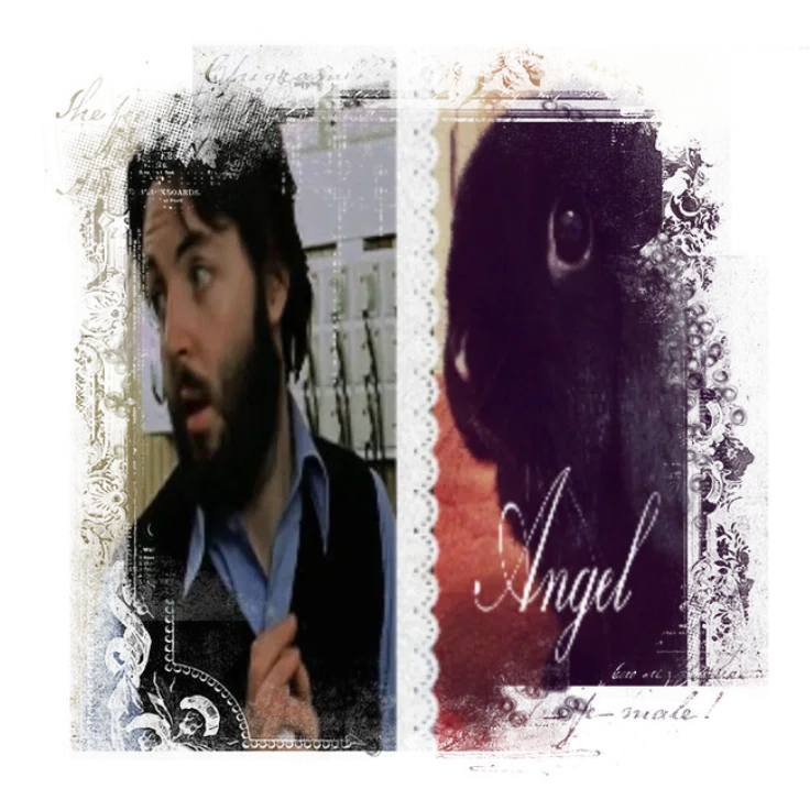 ͝།ིྀ ̣̣̣̊།.    Bunny   ༦། ,༢  Paul   𓈒 †۪۪۫༢྇