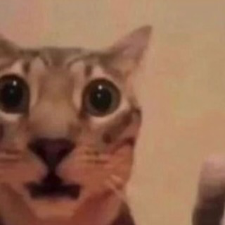 Stuck In Closet