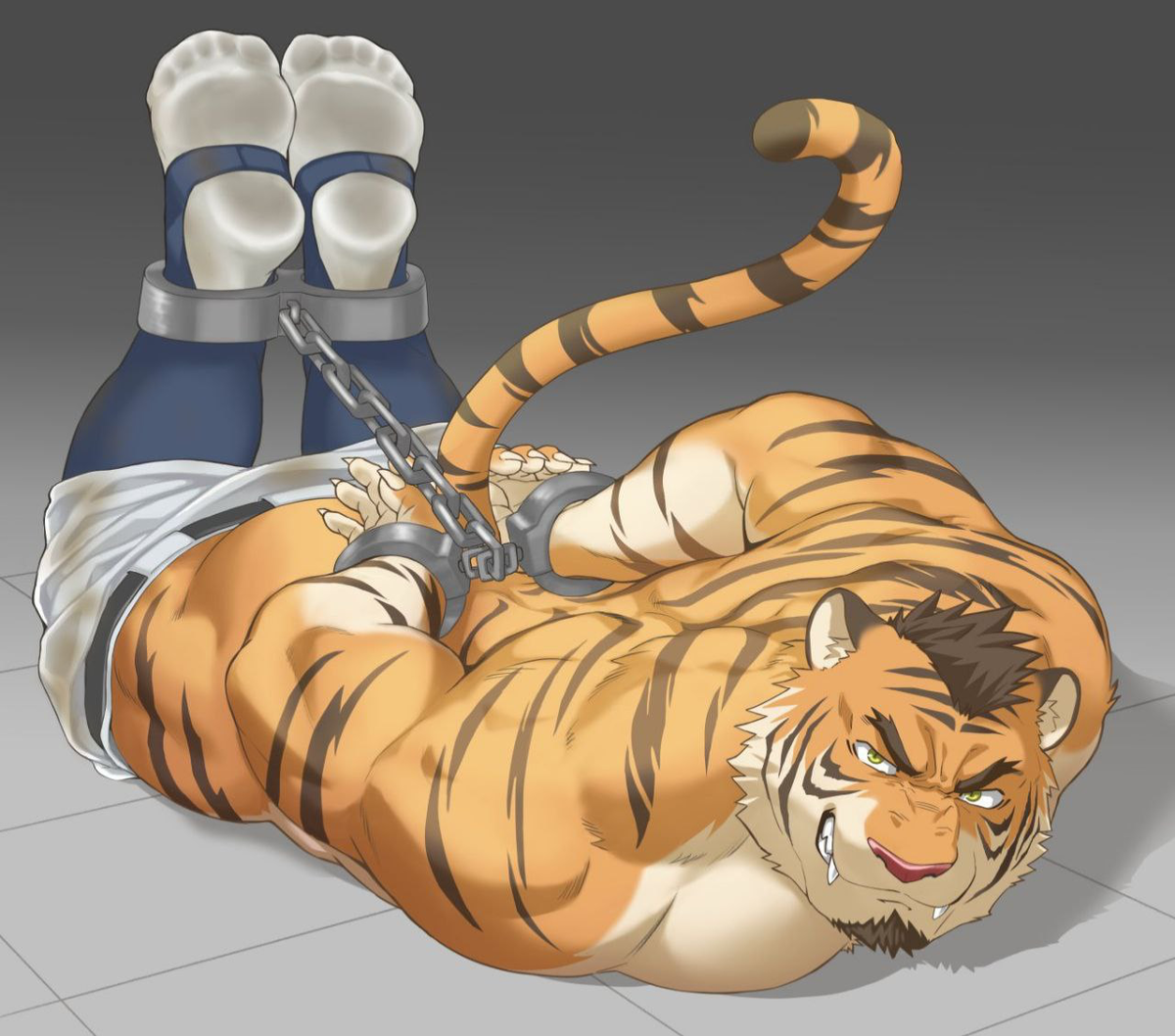 chained tiger