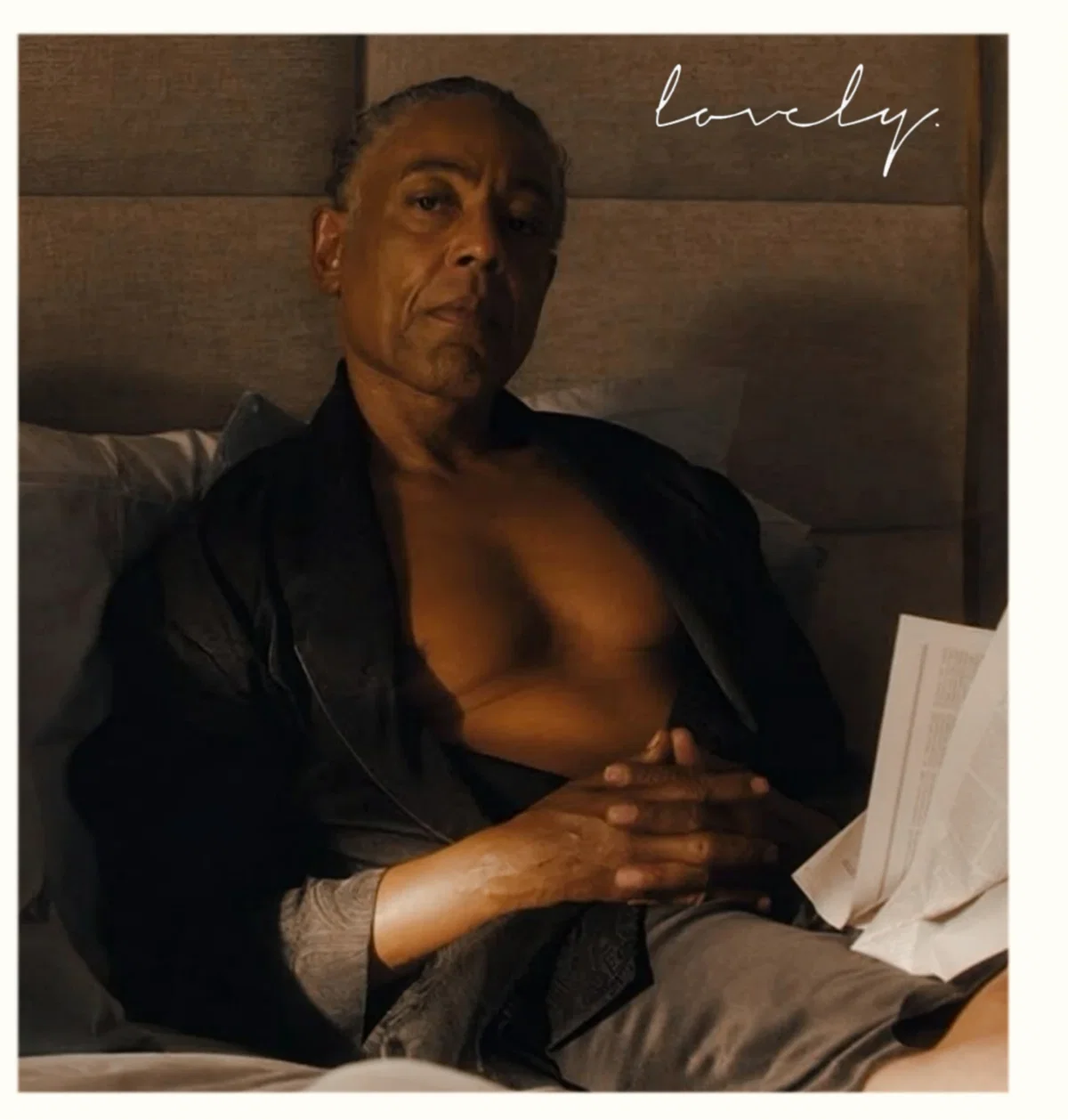 ⌜ ✮ ⌟  𓂃 Gustavo 'Gus' Fring