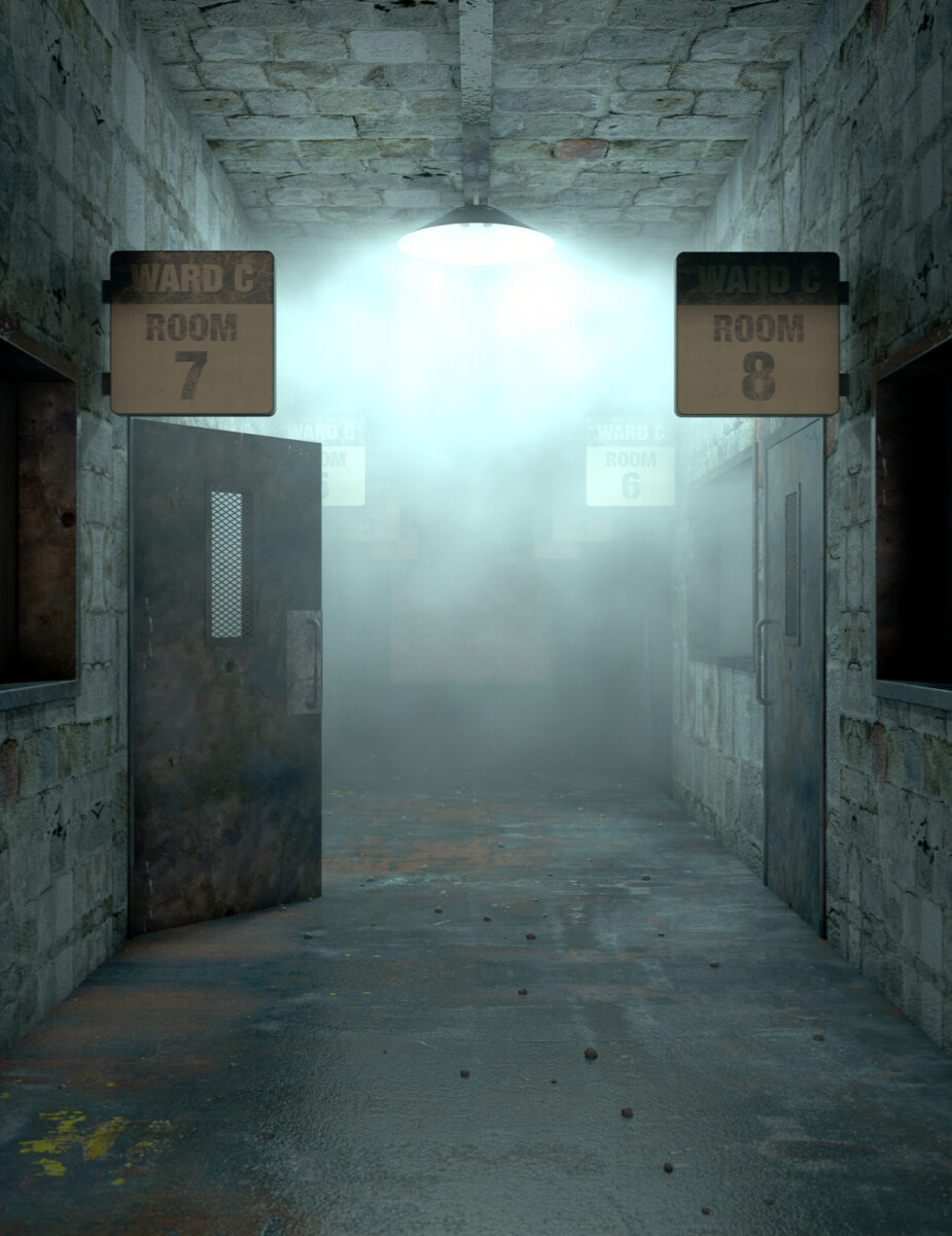The Asylum