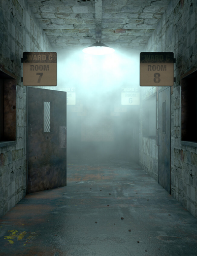 The Asylum