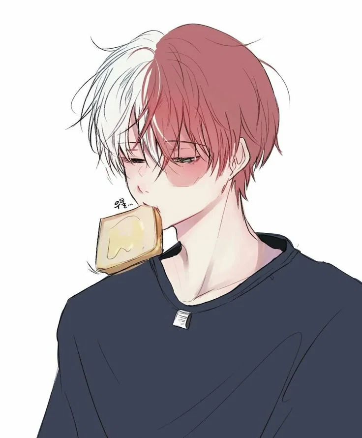 Shoto Todoroki  - Emotionally Guarded Boy With Family Trauma