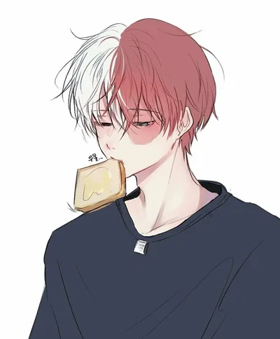 Shoto Todoroki  - Emotionally Guarded Boy With Family Trauma