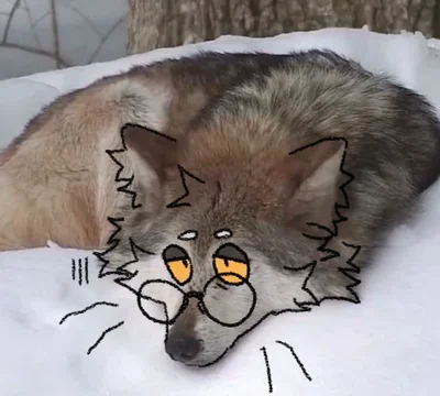 Broken One