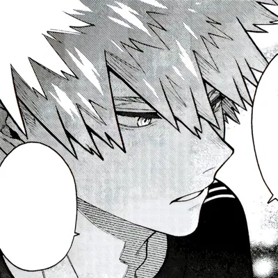 Katsuki Bakugo 